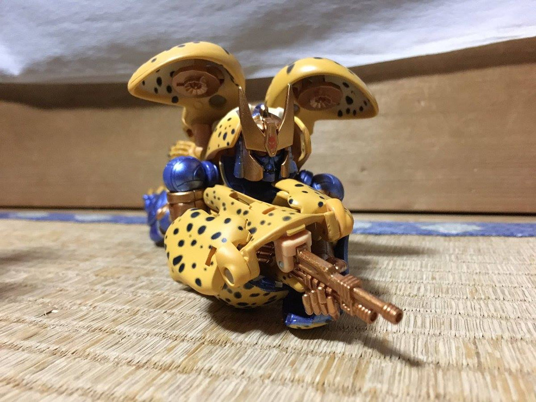 16904742_413135585703541_8323072164364504713_o