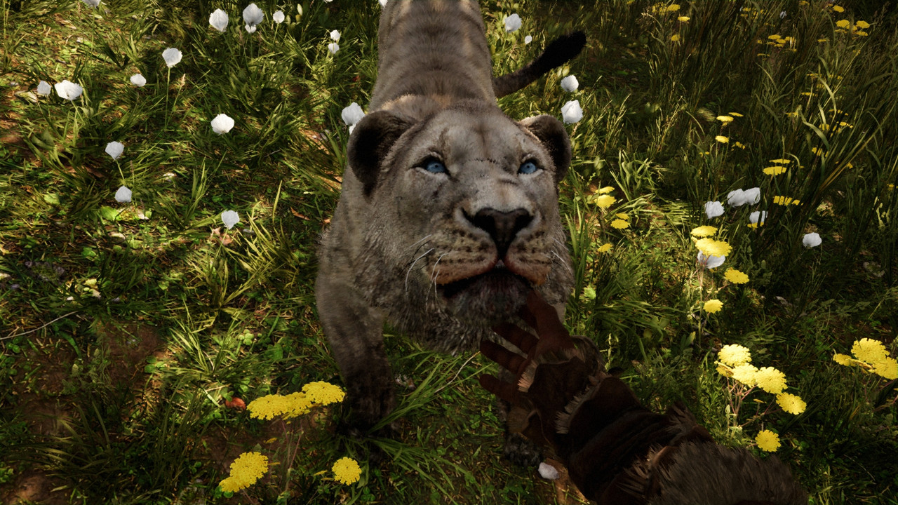 FCPrimal_2022_06_16_11_57_28_913