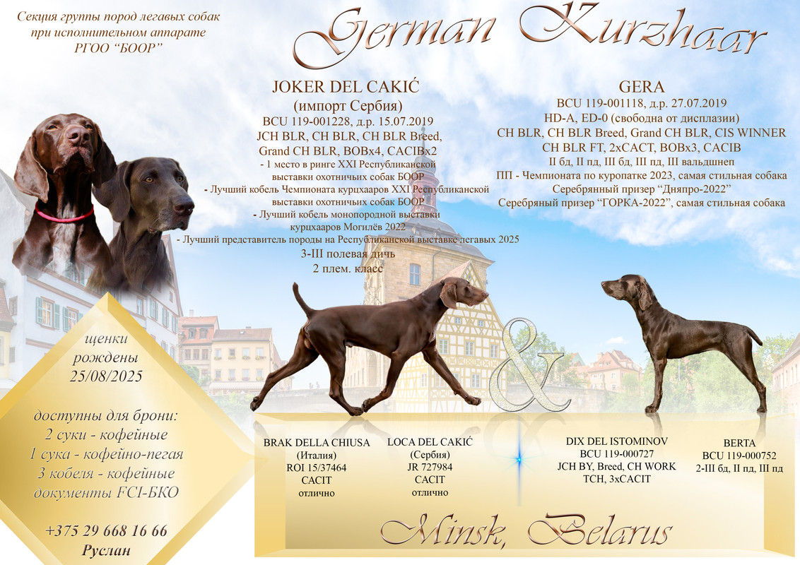 Гера Джокер