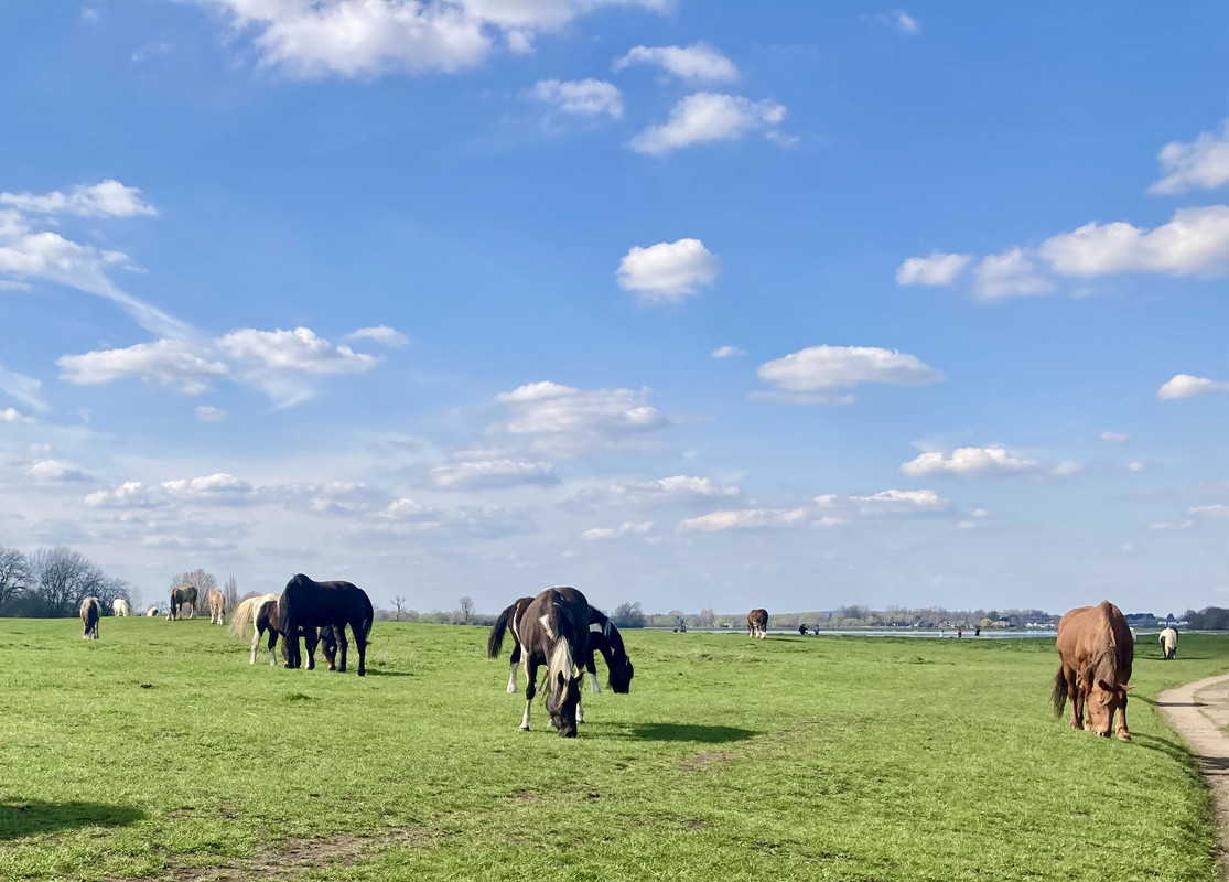 6BDC087E-0696-4EED-835F-AB3C5B00EDA2