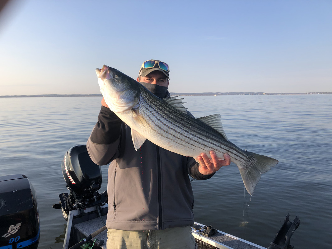 975BCF90-65E4-4192-8A13-8F0CC7BC7BD1