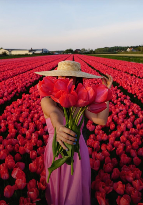 Screenshot_20231007_231630_Pinterest