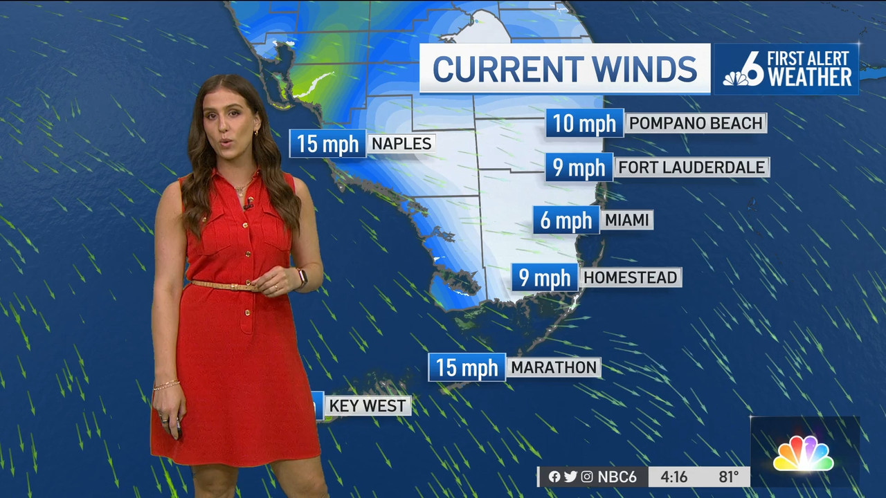 04.08 - 21.00.00 - NBC 6 News at 4 00 p.m..ts_snapshot_00.23.10.289