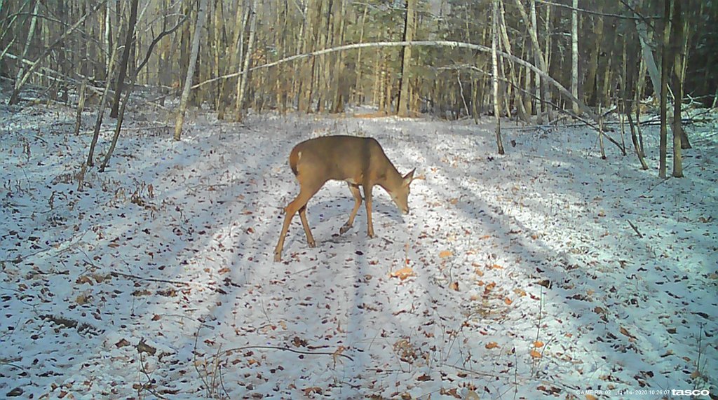 1EC52E76-FD08-47AF-9CE2-663ADD6D49B5