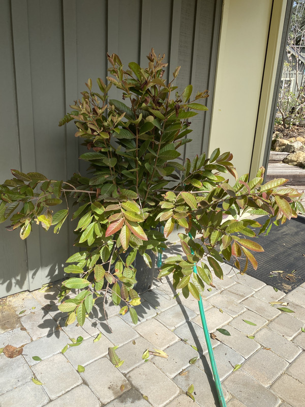 C44B96BF-176B-4D0B-9DC5-98EE5B49C94F