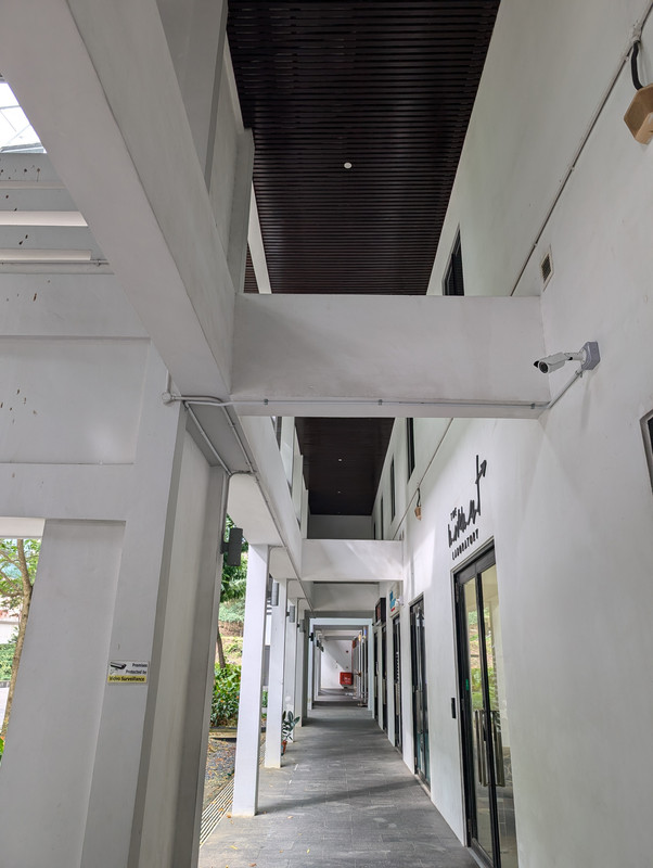 PXL-20240807-083324611.jpg