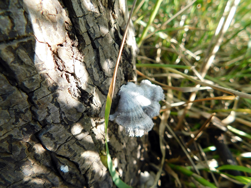 DSCN0031.jpg
