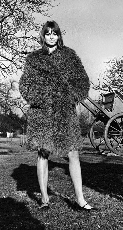jean_shrimpton_me07
