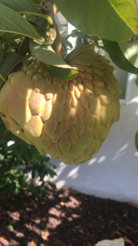 9E879C17-8B61-4F61-983A-3E65C9BF9A85