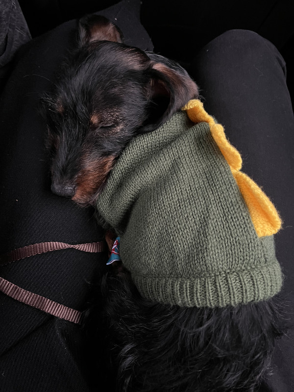 [Image: IMG-4443.jpg]