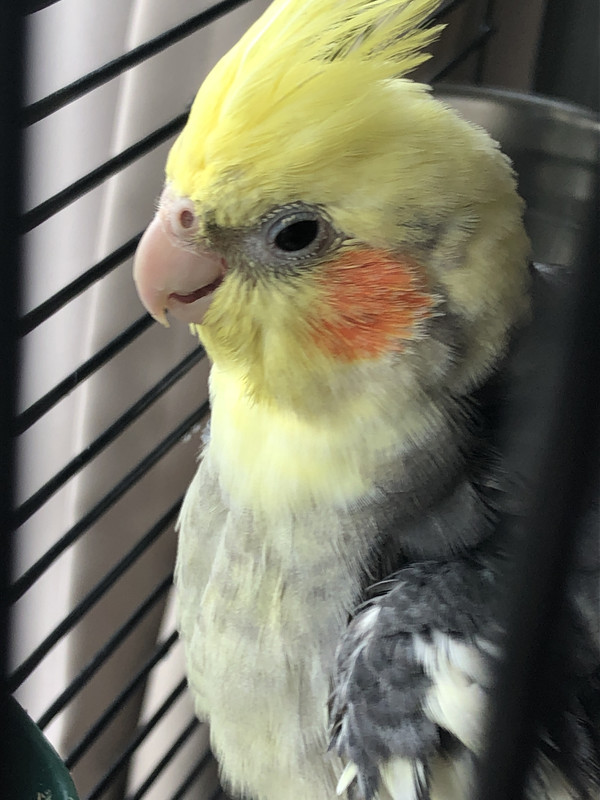 5620143E-E44B-42F0-B19C-02D9AF317BFC