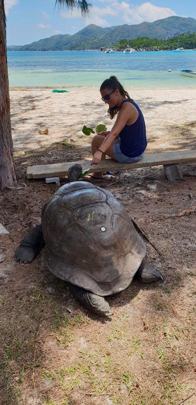 DÍA 3:  PRASLIN – CURIEUSE ISLAND – SAINT PIERRE - Seychelles-2ª parte de nuestra luna de miel. Se puede pedir más? (29)