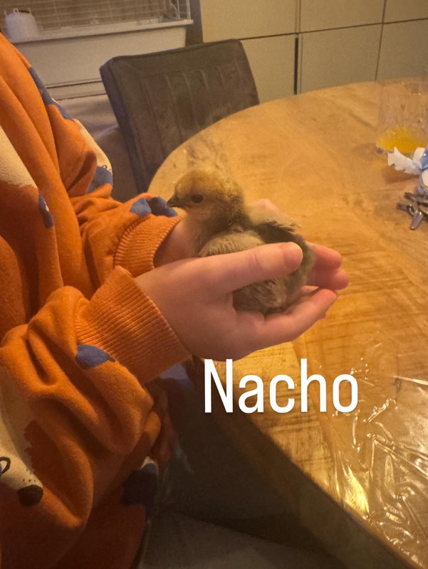 c5edadb5 13ae 4af9 b360 c86ed510988e