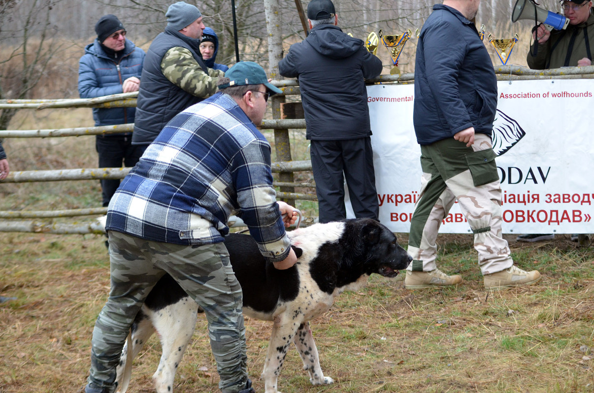 Халк - Сако 3 (6)