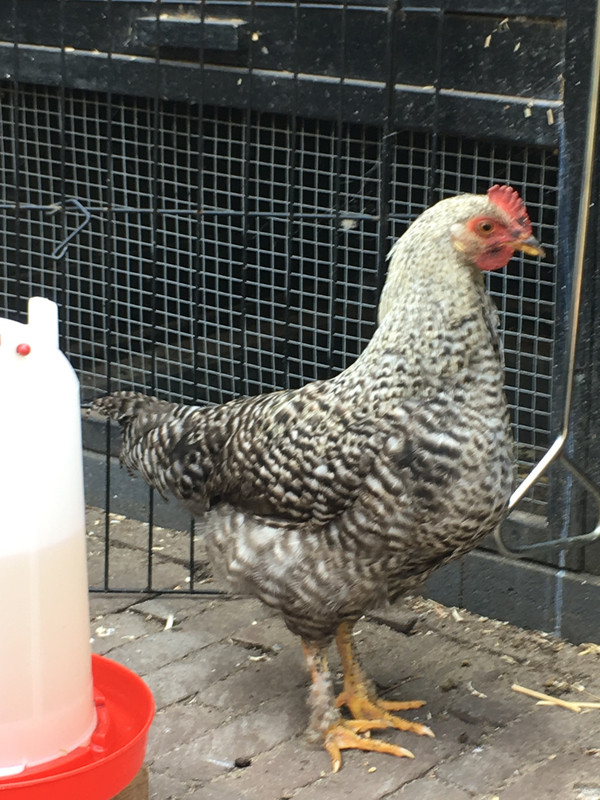 F7D20A08-C90C-4F83-A530-79E67A070B7B