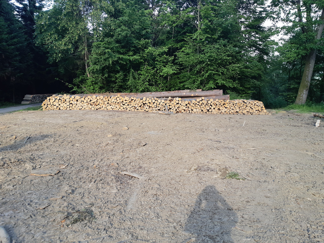 09.09c - 20220616_174108 (PiTT)