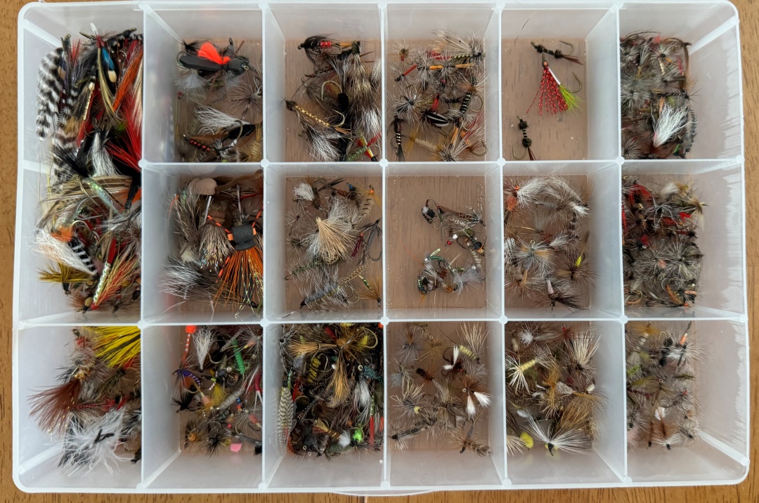 flies-1.jpg