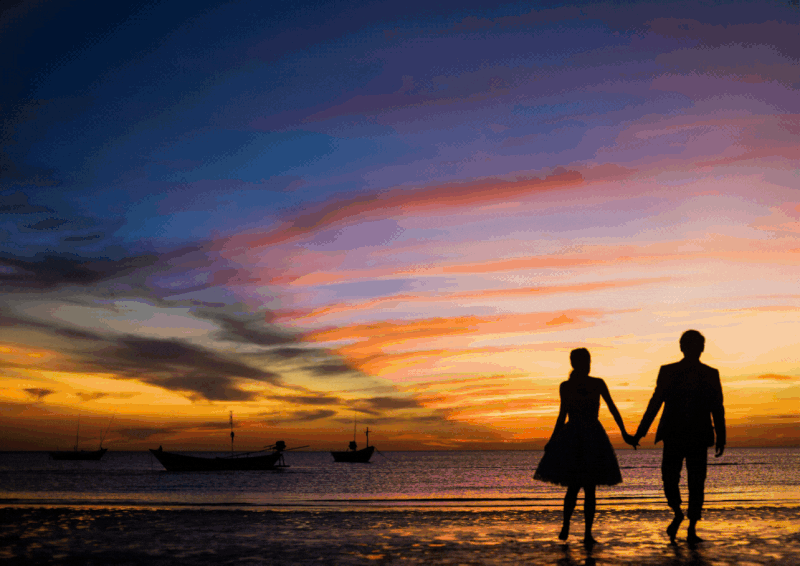 [Image: Hoa-N-V-m.gif]