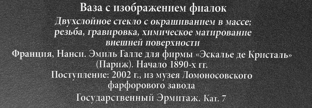 https://i.postimg.cc/Yq7Gnkfc/056-IMG-20250326-160441.jpg