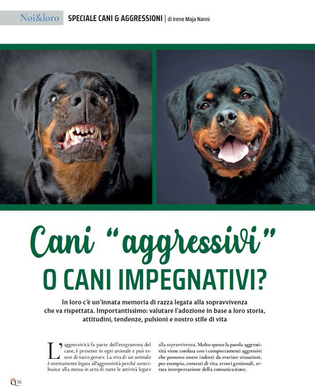 QuattroZampe Feb 2022 (5)