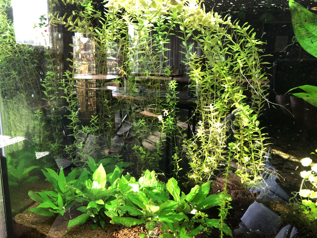 3FD34C67-9309-4B7C-86CE-E64FB614A2F7