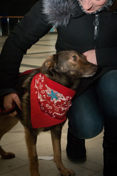 6BB3EB74-5855-4A7E-96E4-4D9BE870D749