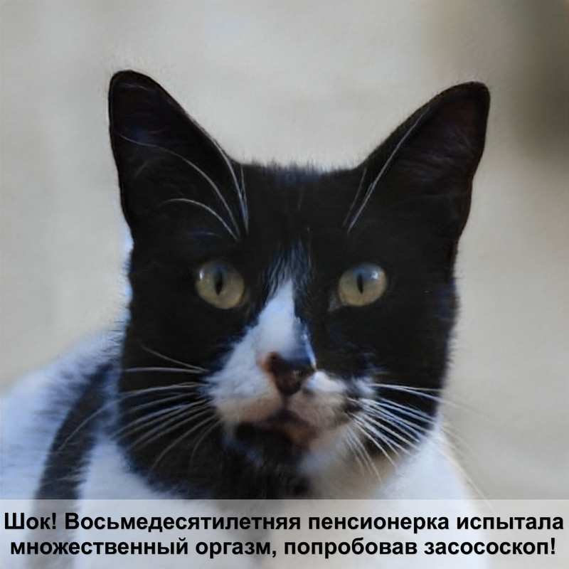 средство от блох для кошек