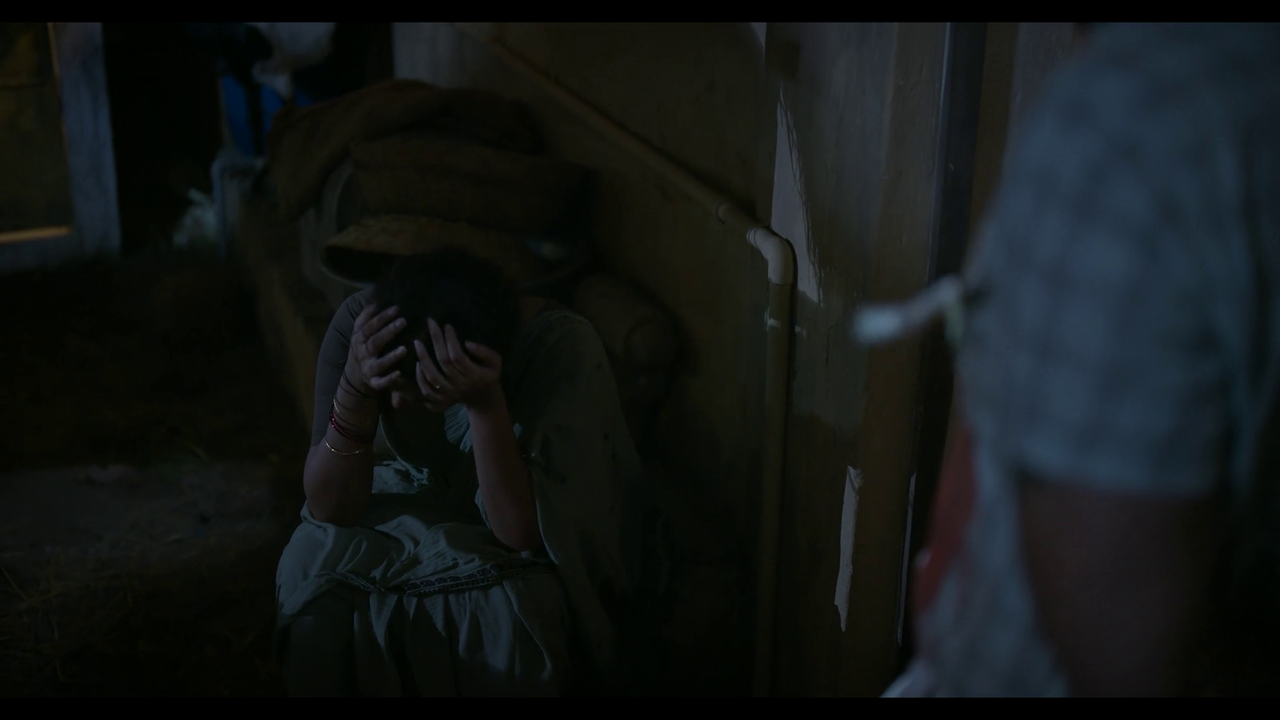 vlcsnap-2025-04-24-21h20m29s138