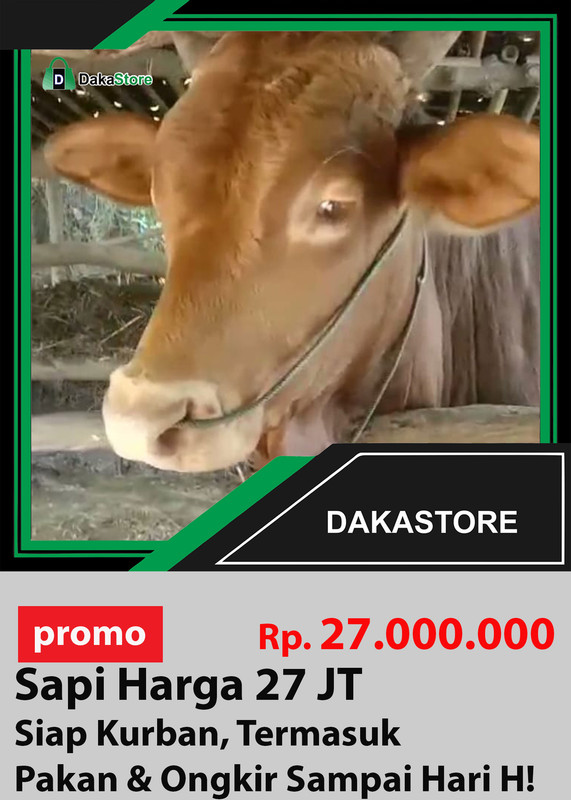 sapi 27 jt