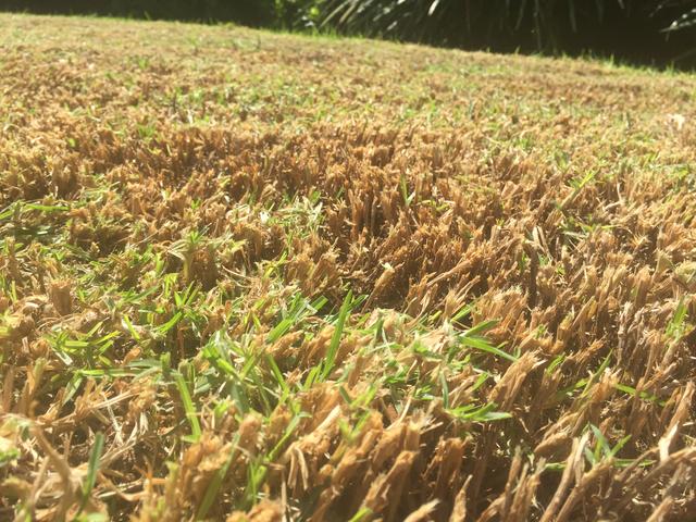 7C4C6B29-0872-4865-A6EF-C6C8CD066C92