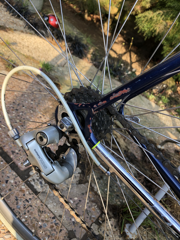 9D1CC3C5-91FF-403A-83DC-BC8FA749314A