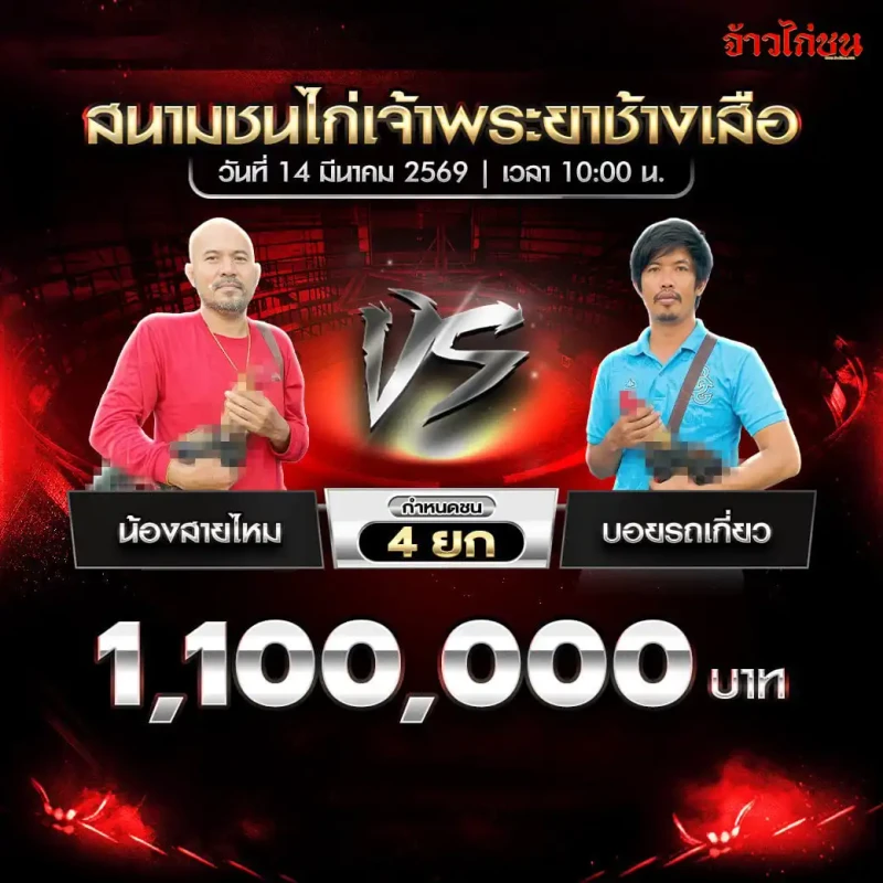 โปรแกรมไก่ชน คู่ที่ 5 น้องสายไหม พบ บอยรถเกี่ยว สนามชนไก่เจ้าพระยาช้างเสือ 14 มีนาคม 2569