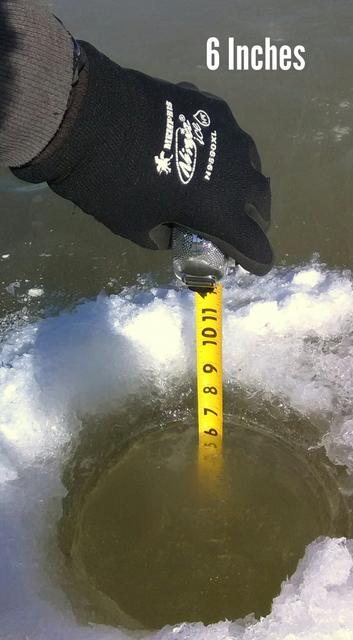 aviary-image-1517609180802