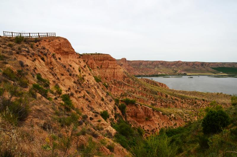 Barrancas de Burujón-2015/2025 - Toledo y sus pueblos-1996/2026 (29)