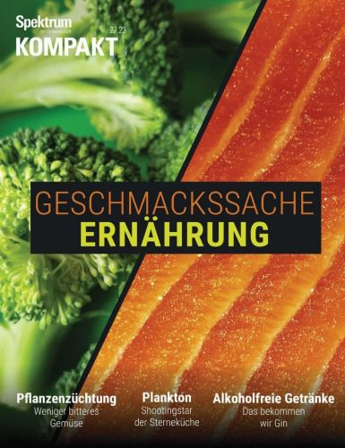 Cover: Spektrum der Wissenschaft Kompakt Magazin No 26 2023