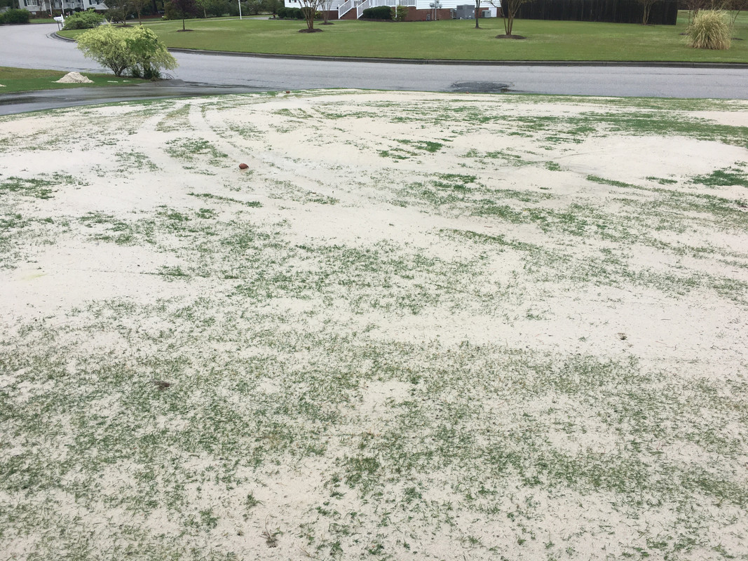 C5641966-95EC-4A07-8AE5-6A63AEFDEF5B