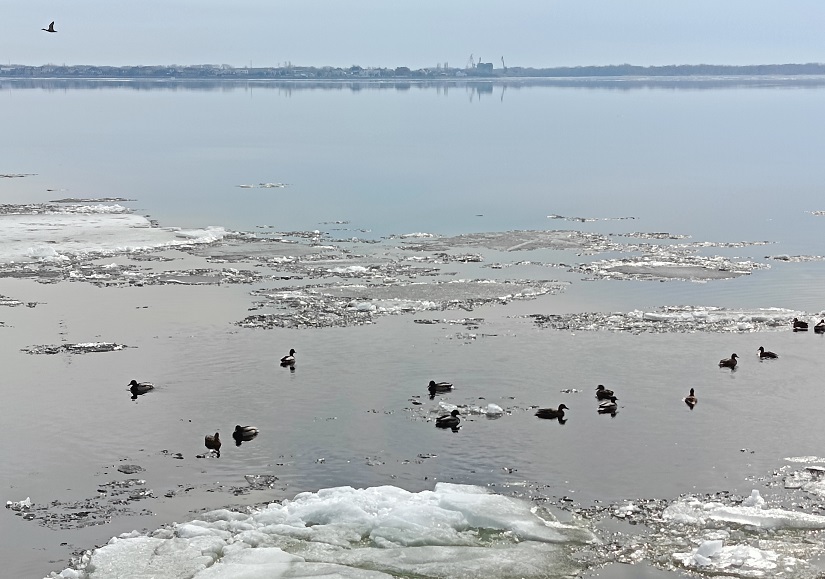 .trashed-1744646127-IMG_20250315_195408