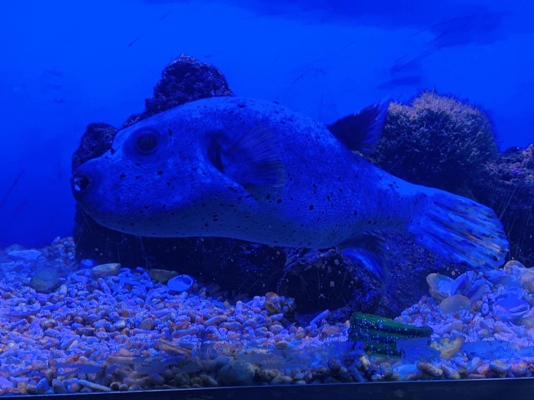 807B9E8A-ECC7-431A-8FAD-44234C827CF1