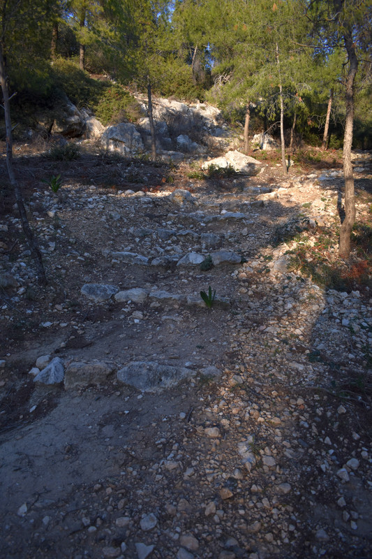 Το ανάκτορο του Αίαντα του Τελαμώνιου (3)