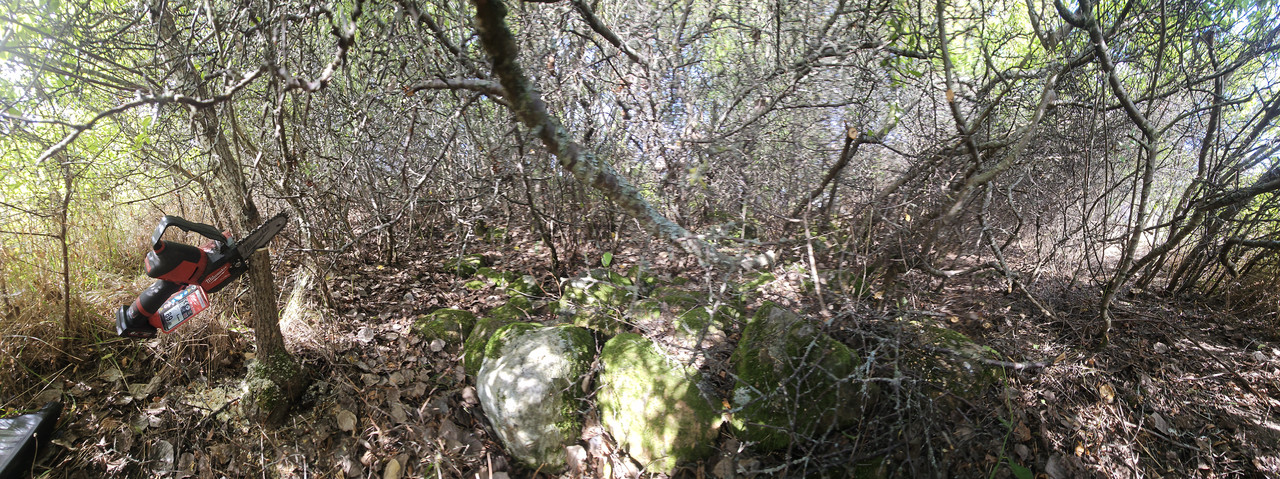 20240922-122007.jpg
