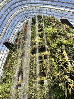 Indonesia, Singapur y Malasia 2022 - Blogs de Asia Sudeste - Día 12 y 13. Singapur (10)