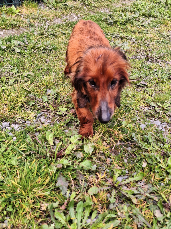 [Image: 20240316-115827.jpg]