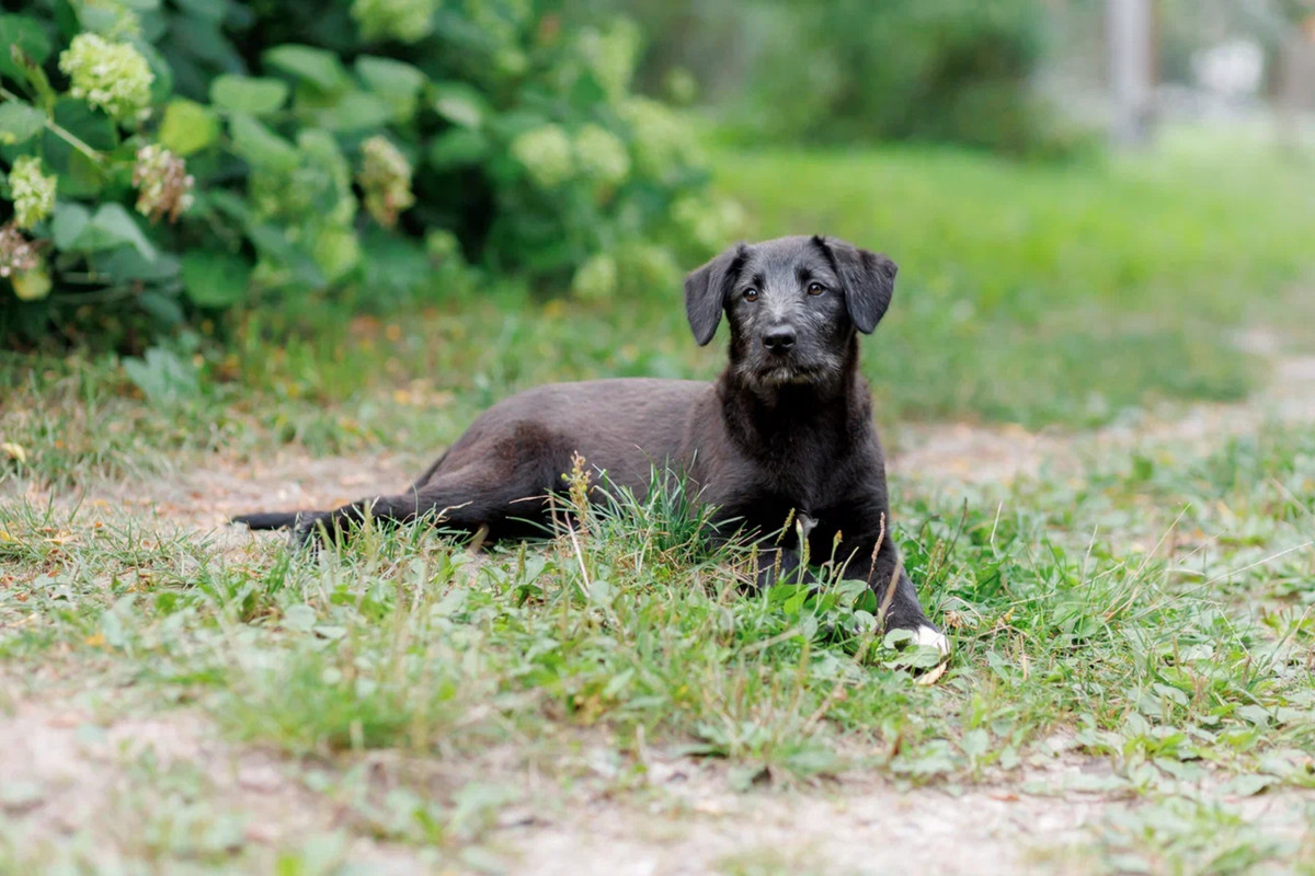 resize-image-online.com_4jpg_faSWbxqG