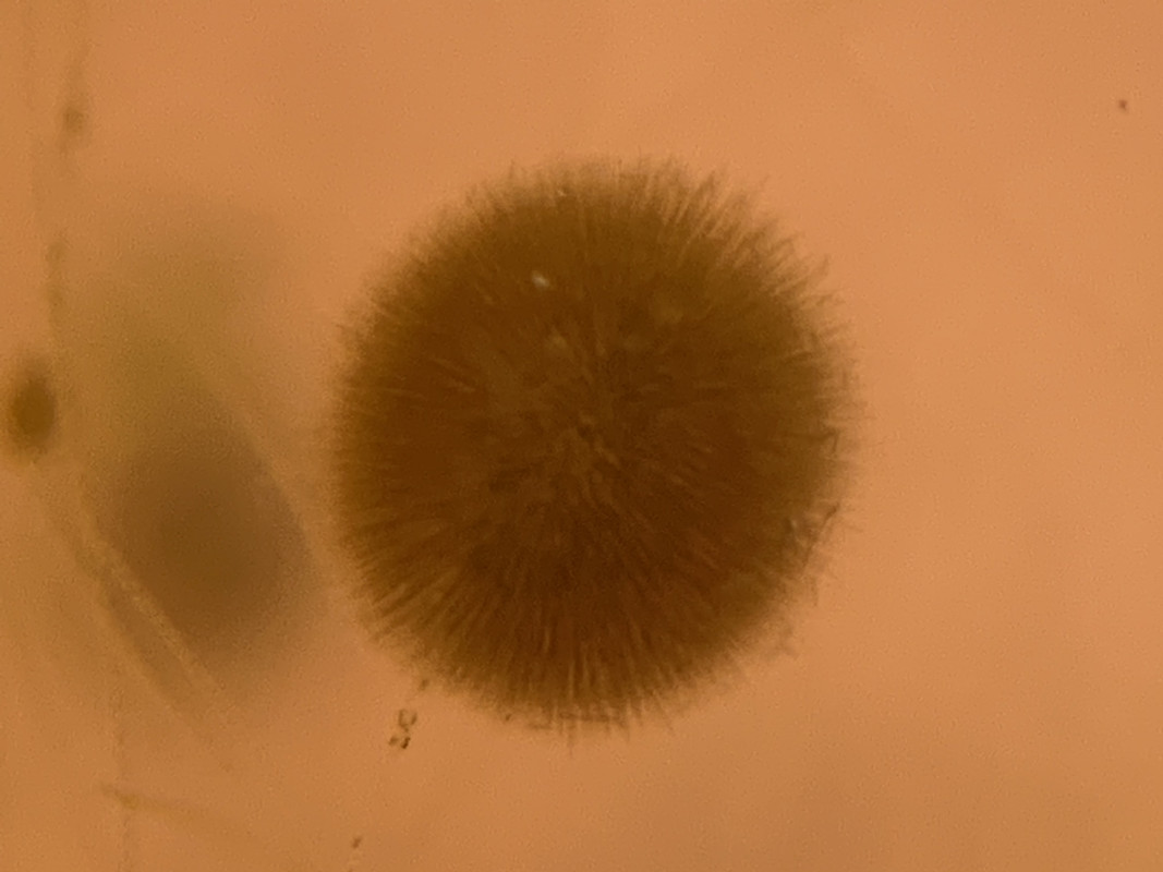 64D3AD11-3906-4DF0-A031-E7EB2AFD037F