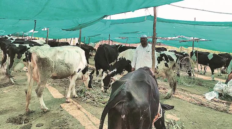 What Has Changed in the Village
