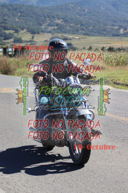 inbound1755527046636549254