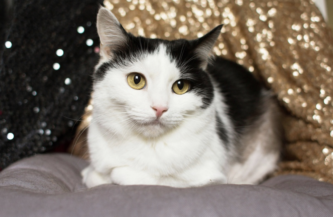 D69384D0-A4EA-4AB1-B8BA-5966A58C3686