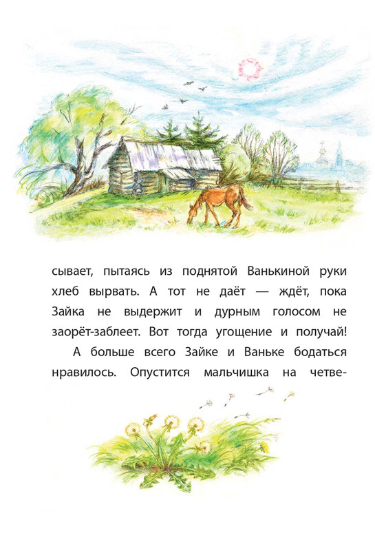 2015-page-0015