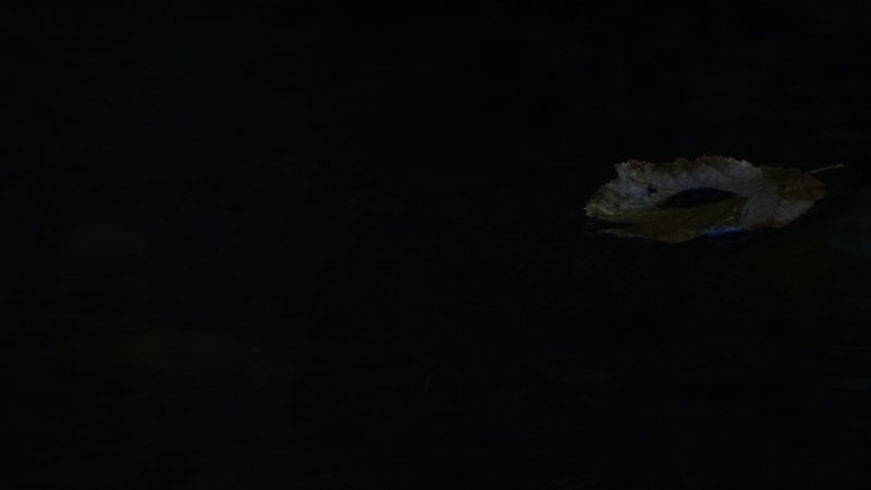 [Image: DSC03993.jpg]
