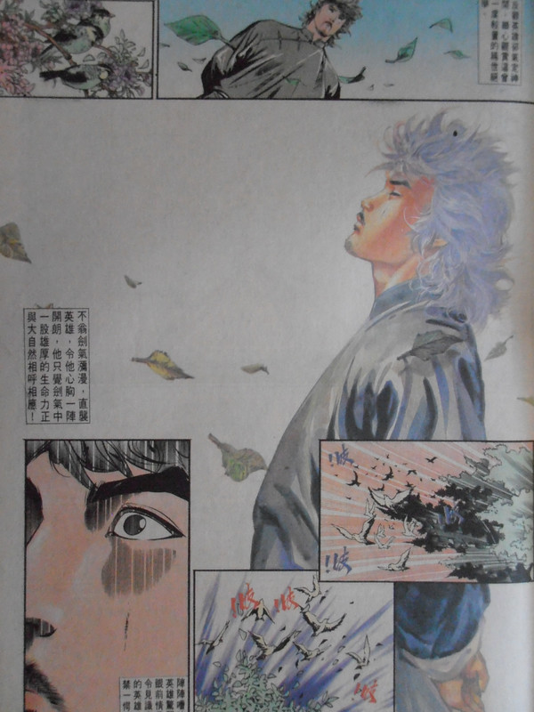 中華英雄：無争的传人